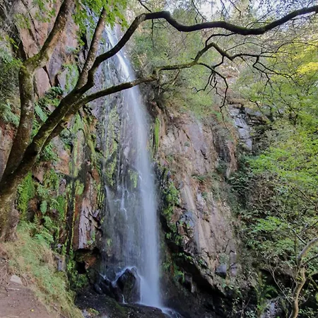 Casa Os Cholos * Pantón