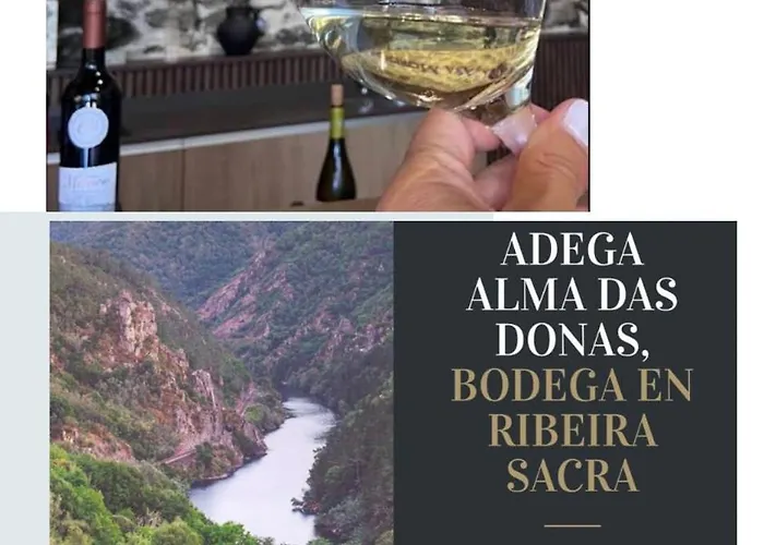 別荘 Casa Os Cholos *