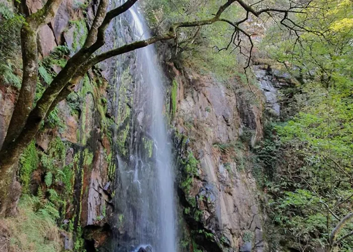 Casa Os Cholos * Pantón